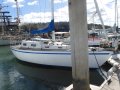 Knoop 27 CAPABLE CRUISER/RACER SET TO GO! HUGE PRICE DROP!!