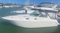 Monterey 302 Cruiser