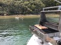 Mustang 2800 Series III:gas BBQ on transom