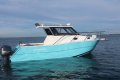 Lux Custom Boats 8.2 Lc Hardtop