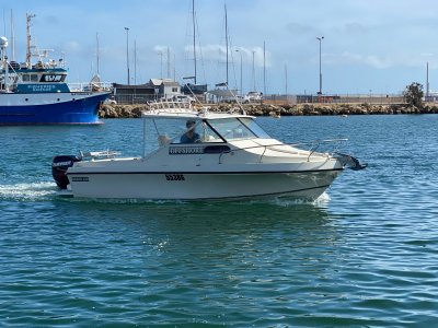 Baron OFFSHORE 21 HARDTOP "Repowered 2018 "