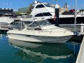Baron OFFSHORE 21 HARDTOP "Repowered 2018 ":Euro Awning and Rod rack