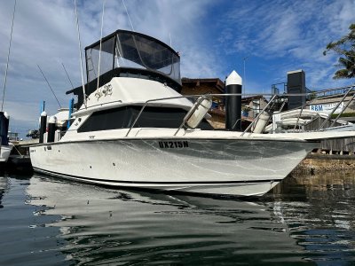 Bertram 28 Flybridge