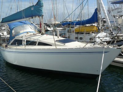 Yamaha 33- Click for more info...