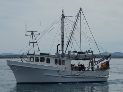 17m Trawler