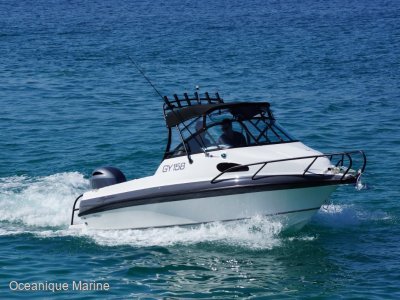 Haines Signature 620F *Available for July 2023 delivery! *