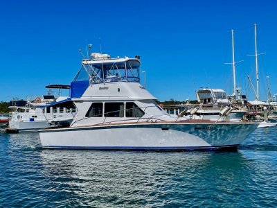 Custom Steel Flybridge 40' Cruiser