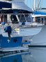 Clipper 34