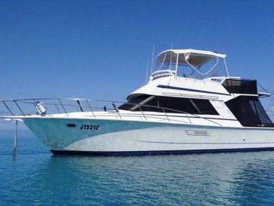 Dominator 38 Flybridge