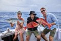 CAIRNS REEF FISHING BUSINESS FOR SALE