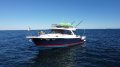 Cutwater 302 Sport Coupe "" FULLY OPTIONED FROM FACTORY "":CUTWATER 302 by YACHTS WEST MARINE