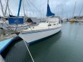 Mottle 33 Low side Mottle 33