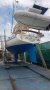 Mottle 33 Low side Mottle 33