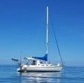 Mottle 33 Low side Mottle 33