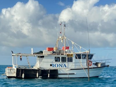 F. V. Iona: Price reduce for quick sale