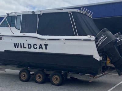 Cougar Cat 28