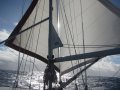 Najad Aphrodite 42 Sloop with Trade Wind Rig:Using the Trade Wind Rig.