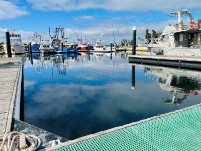 Commercial Marina Berth For Sale