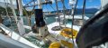 TS601 Assailant 19.98m Trawl Package