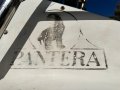 Coxcraft Pantera