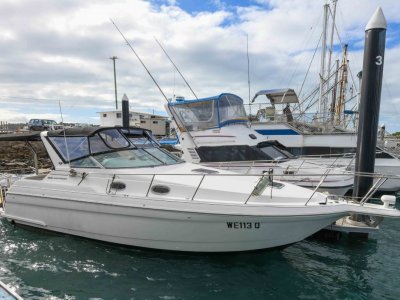 Wellcraft 3200 Martinique Sports Cruiser