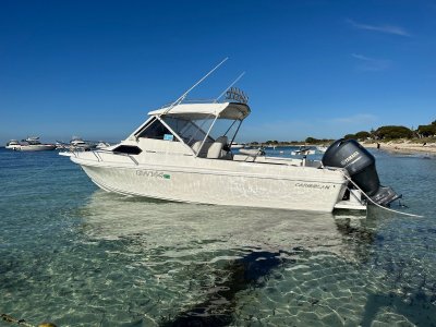Caribbean Reef Runner
