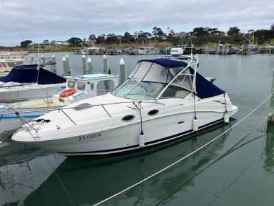 Sea Ray 275 Amberjack