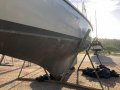 Freya 39 Cutter