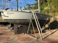Freya 39 Cutter