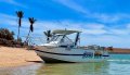 Boat Hire Business Opportunity