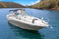 Sea Ray 300 DA