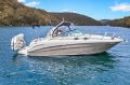 Sea Ray 300 DA