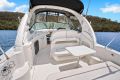 Sea Ray 300 DA