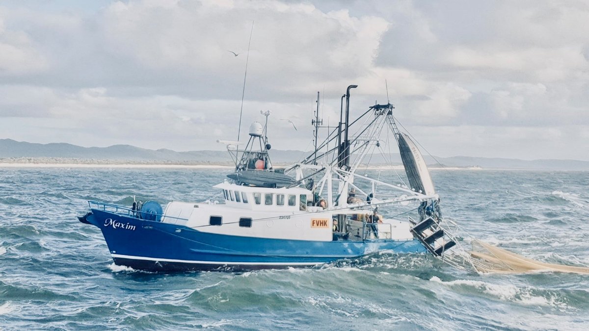 TS605 Maxim 18.16m Trawler