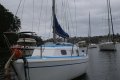 Van De Stadt Spirit 28