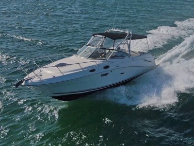 Sea Ray 270 Amberjack Room for fishing, diving or sipping on chardonnay