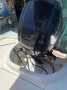 Bayliner 180-EF Centre Console Runabout