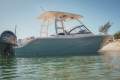 New Sea Fox 268 Traveler