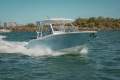 New Sea Fox 268 Traveler