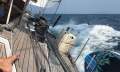 EC 24m Sailing Yacht
