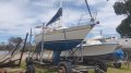 Viking 30 (NOW REDUCED, Offers considered)