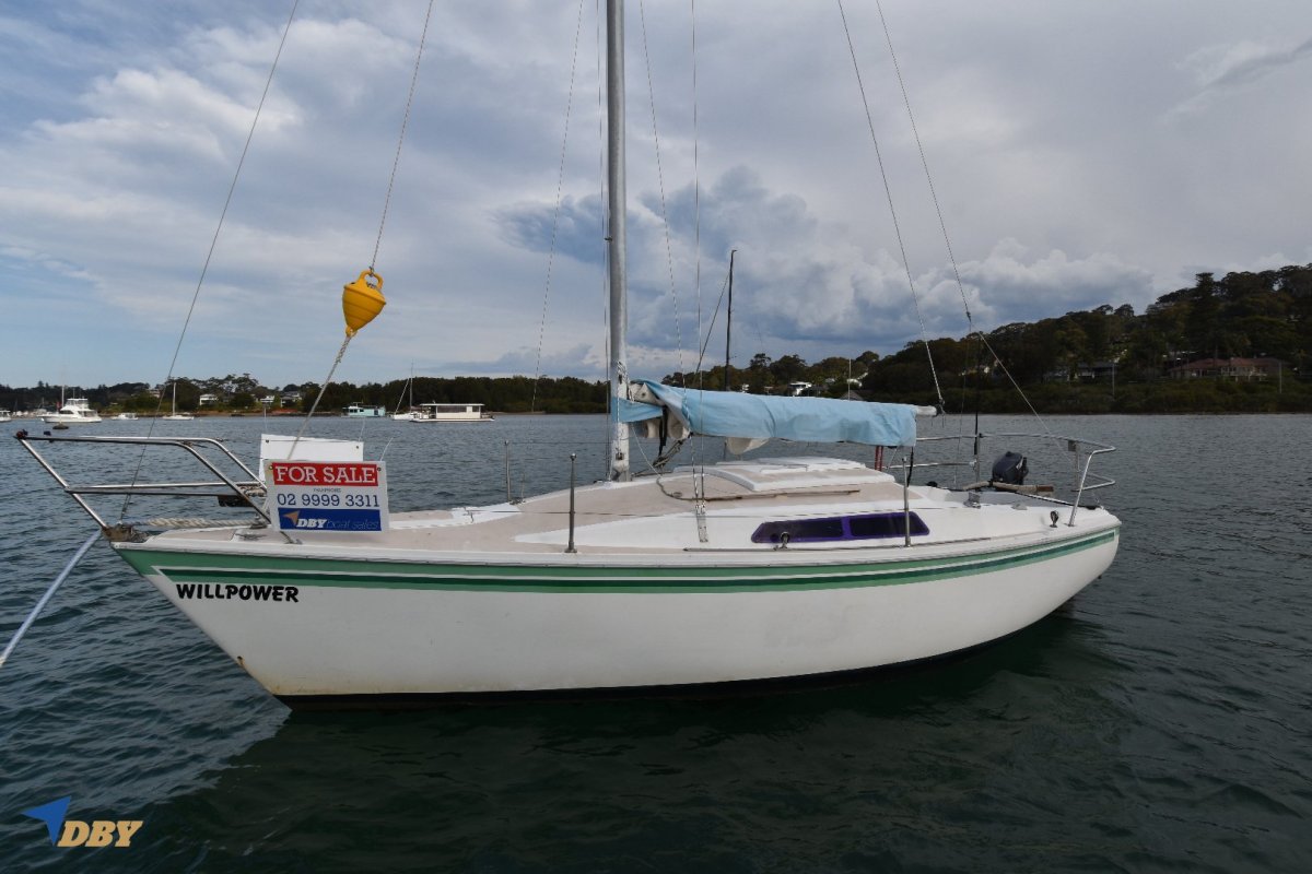 cole 23 yacht for sale