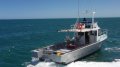 Image Commercial 11.2m Jet Powered Fishing Vessel