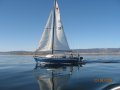 Sunmaid 20 trailer sailer