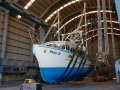 UPDATE: 16.1M Trawler & NSW Ocean Trawl Prawn Pkge