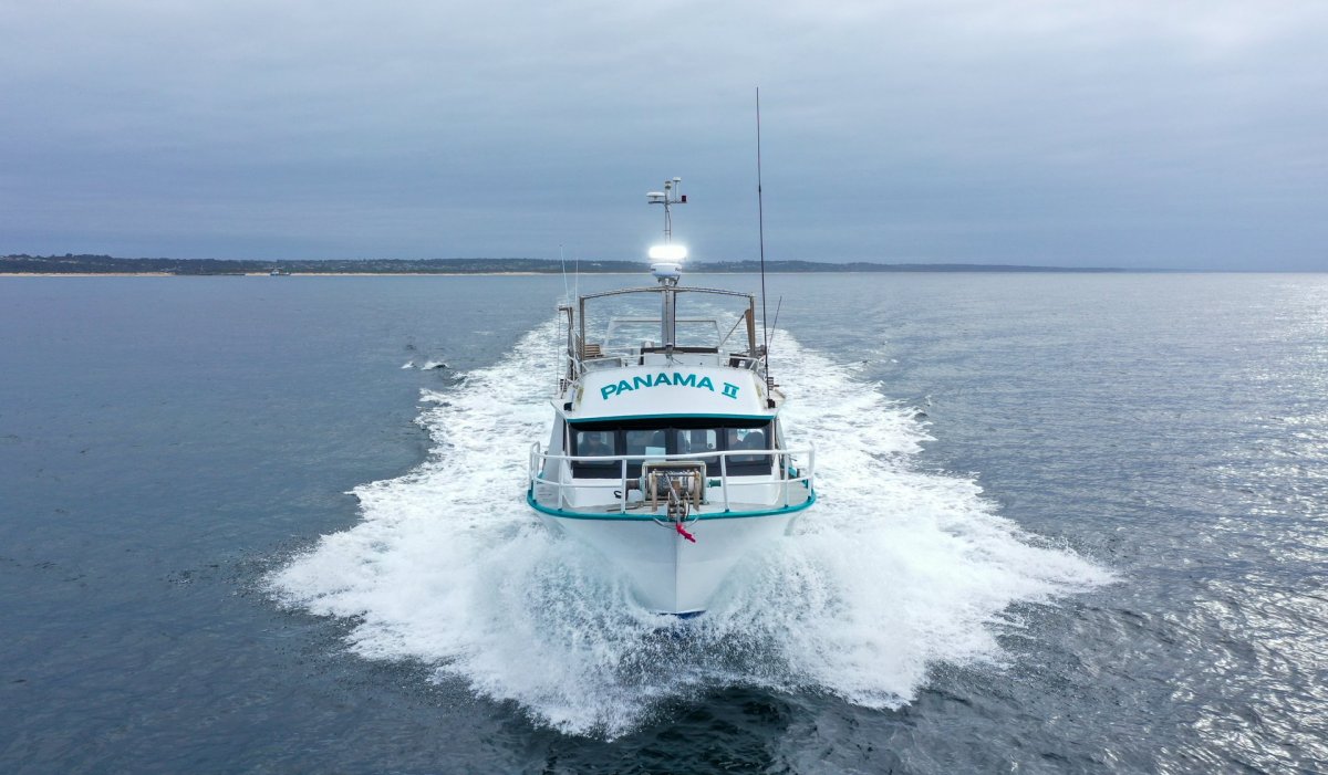 15.7m Fishing Charter