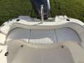 Sea Fox 236dc