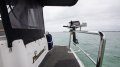 Cruisers Yachts 3372 Express