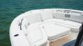 Sea Fox 248 Commander
