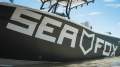 Sea Fox 248 Commander
